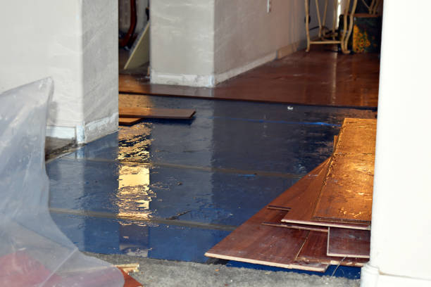 Professional Basement Flood Cleanup technician working in Oakley, KS